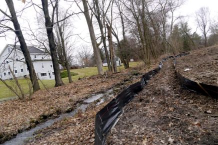 SUNY New Paltz removes trees to expand parking