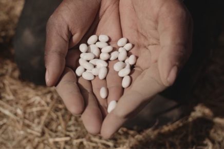New film about the Native American Seed Sanctuary in Hurley