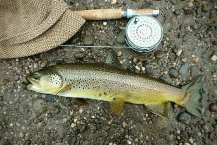 Opening day on the streams