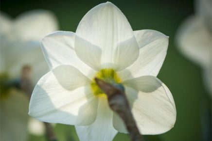 Planting times are running late this year