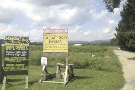Local government and Scenic Hudson team up to preserve New Paltz farm