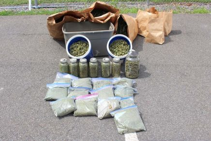 House fire leads cops to major Ulster County weed-growing operation