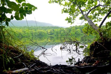 Save Tillson Lake group blasts Riverkeeper’s endorsement of dam removal