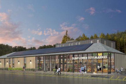 Sunflower market plans bloom