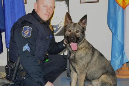 Saugerties considers whether to replace retiring police dog & officer
