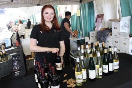 Hudson Valley Wine & Food Fest at Dutchess Fairgrounds