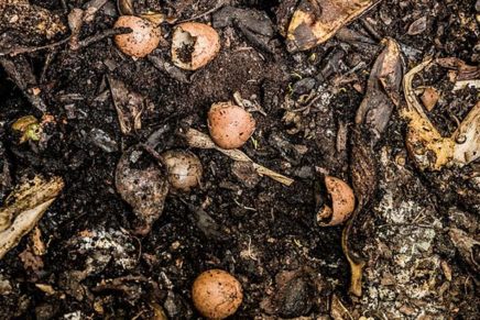 Ulster legislature OKs new composting law