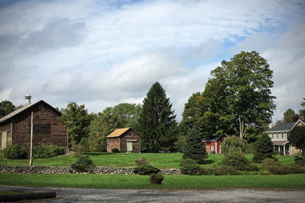 Rockefeller Center Christmas tree selected from Hudson Valley property