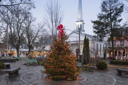 Woodstock Christmas Tree was a rescue
