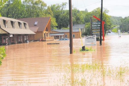 Owners of Boiceville properties try to choose between relocation and floodproofing