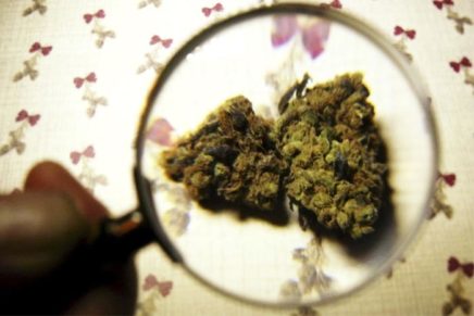 The downsides of marijuana legalization