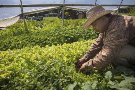 Supporting Farmers and Farmworkers: Spring Forum at Mohonk