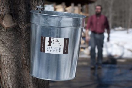 Visit a tree farm near you during NYS Maple Weekends