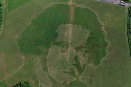 Baker Does Beethoven – with a lawnmower
