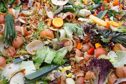 Transition and WLC screens Just Eat It, film on reducing food waste