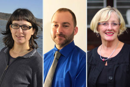 Saugerties Town Board race takes shape