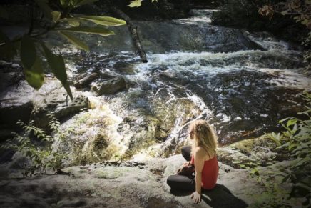 Minnewaska hosts first Forest Bathing Workshop