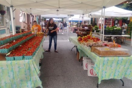 New Paltz Open Air Market returns Sunday, June 2