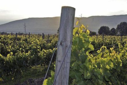 Shawangunk Wine Trail hosts Wines & Bites tour