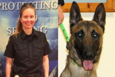 Saugerties police pooch is drug-sniffing champ