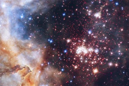 Stardust memories
