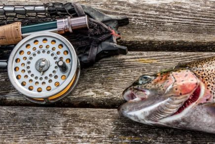 Mullen Memorial Trout Derby set for this Saturday in Saugerties