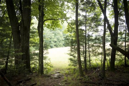 Woodstock’s Comeau property needs maintenance help