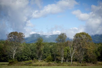 Join BioBlitz in Woodstock