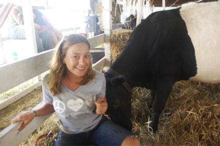 Peace and love in the 4-H barn at the Ulster County Fair