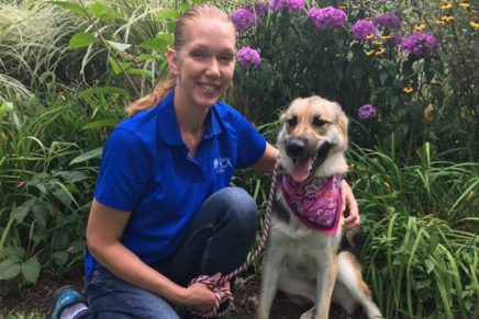 Faces of Kingston: Gina Carbonari
