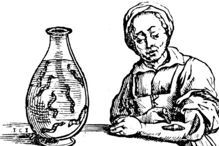 Medicine of the 1700s presentation (bring your own leeches)