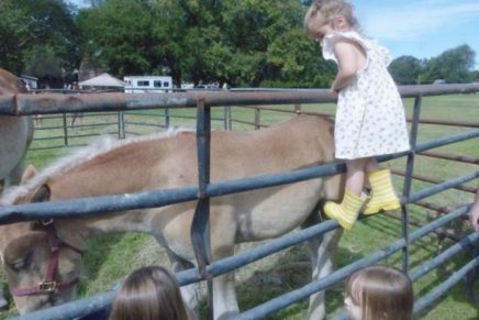 A perfect Farm Animals Day in Saugerties
