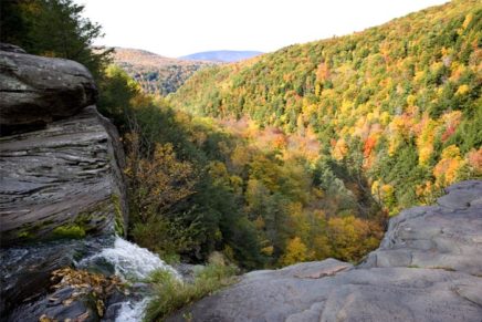 New column: Ask a naturalist