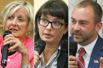 Saugerties election: Newcomers Ivino and Roskos and incumbent Thornton up for Town Board spots