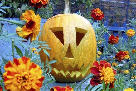 Halloween celebrations in New Paltz, Highland, Gardiner and Rosendale