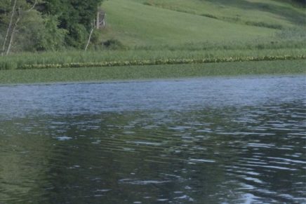 Notes from the Saugerties Village Board: Of the beach and the bluestone